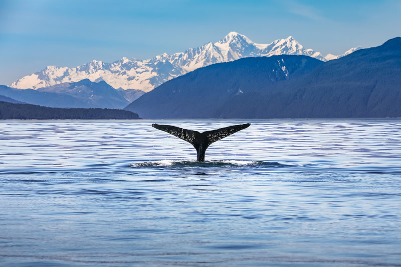 alaska300